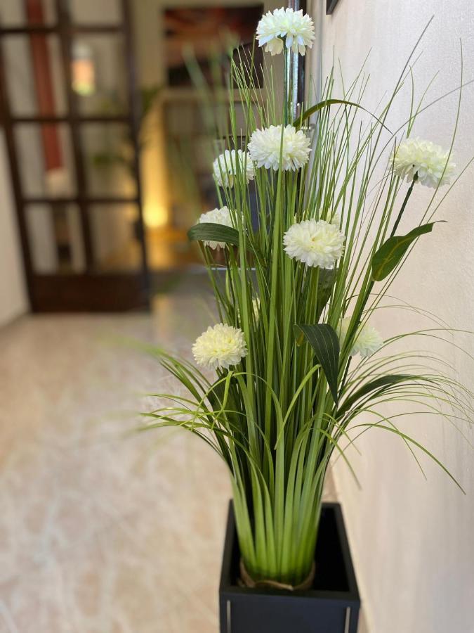 Apartment Dora זאדאר מראה חיצוני תמונה