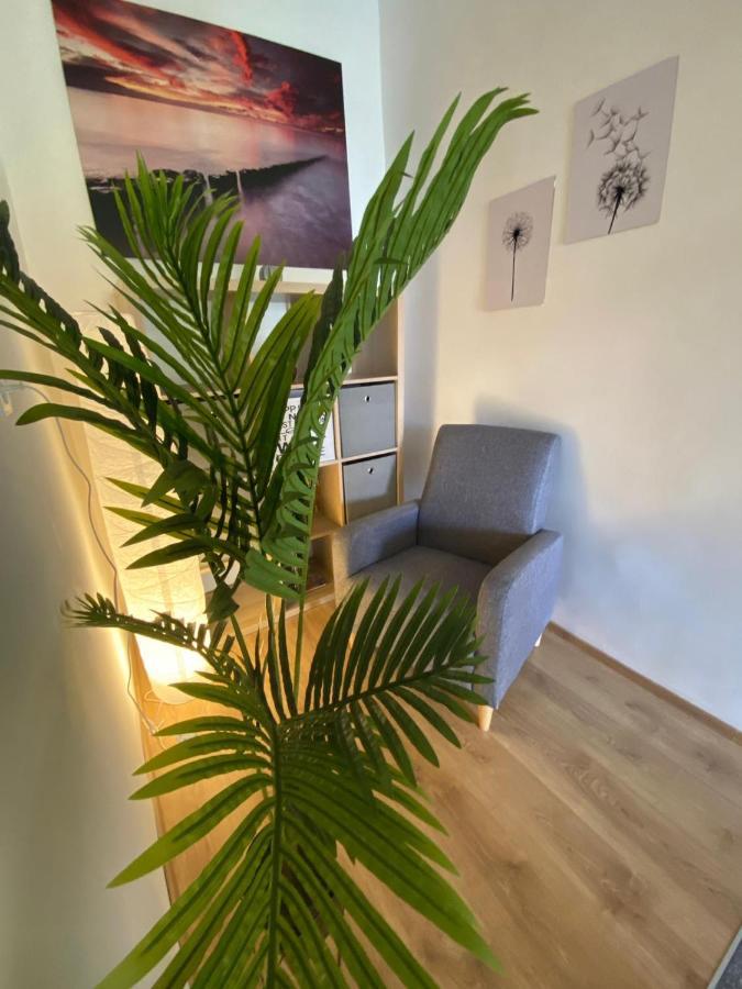 Apartment Dora זאדאר מראה חיצוני תמונה