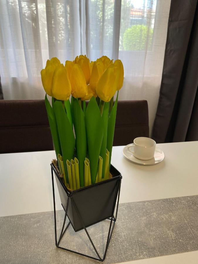 Apartment Dora זאדאר מראה חיצוני תמונה