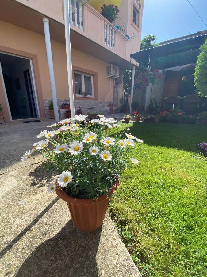Apartment Dora זאדאר מראה חיצוני תמונה
